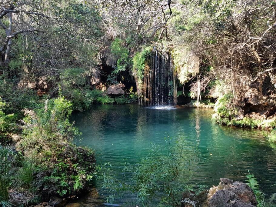 The Big Tree @ Sabie Βίλα Εξωτερικό φωτογραφία